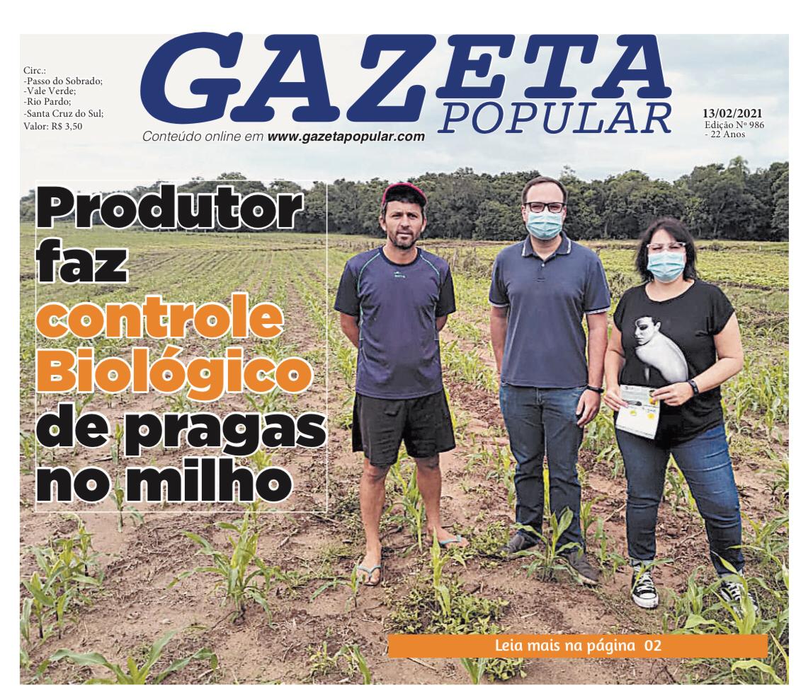 Produtor faz controle biológico de pragas no milho