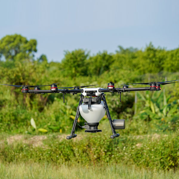 Liberação de ovos parasitados em campo com uso de drones