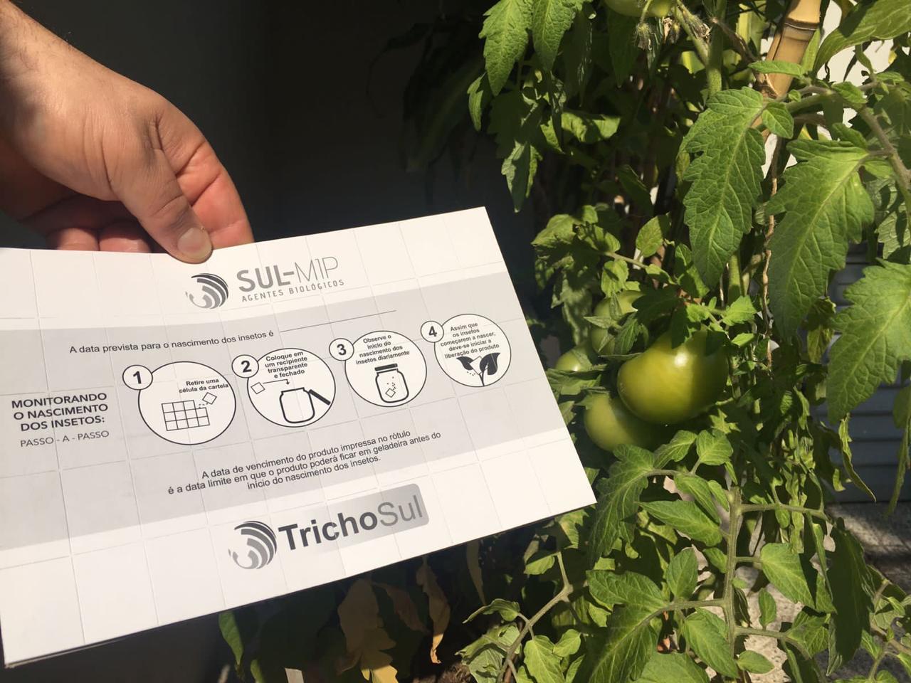 Material de monitoramento do TrichoSul com indicação de nascimento dos insetos