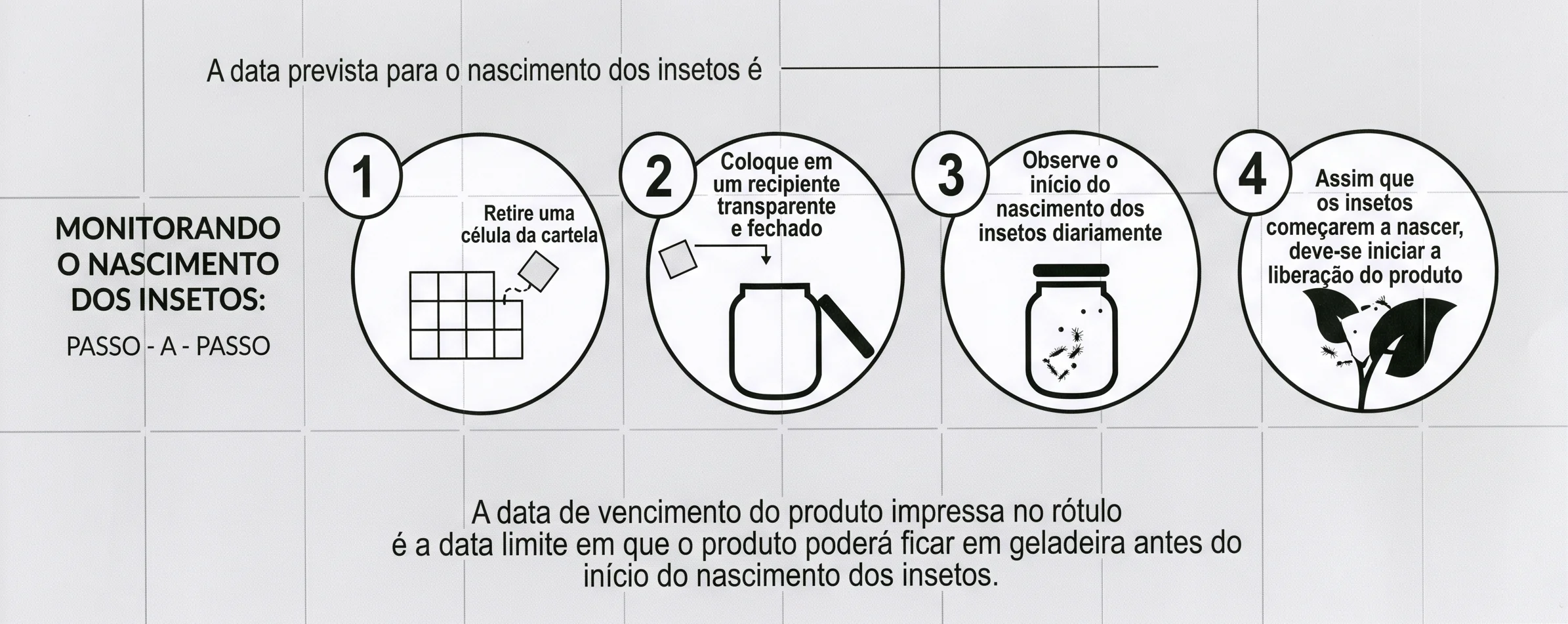 Passo a passo de monitoramento do nascimento dos insetos do TrichoSul: retirar uma célula da cartela, colocá-la em recipiente transparente fechado, observar diariamente o início do nascimento e iniciar a liberação quando os insetos começarem a nascer.